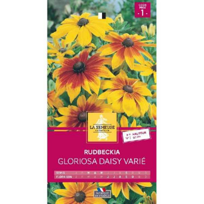RUDBEKIA GLORIOSA DAISY VARIE  Code prix 1 La Semeuse