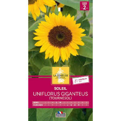SOLEIL UNIFLORUS GIGANTEUS (TOURNES  Code prix 2 La Semeuse