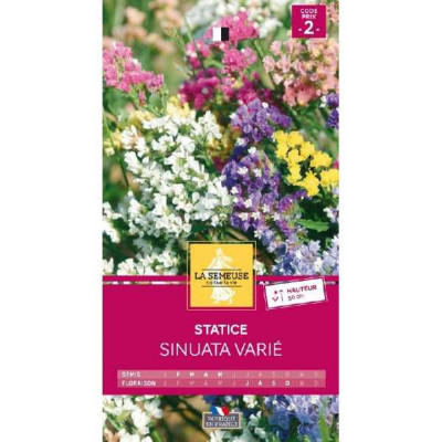 STATICE SINUATA EN MELANGE  Code prix 2 La Semeuse