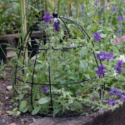 SUPPORTE PLANTES DOME 45CM   SMART GARDEN