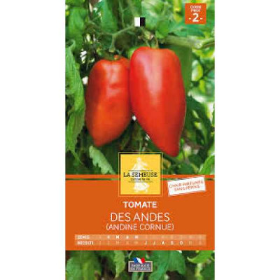 TOMATE DES ANDES (ANDINE CORNUE)  Code prix 2 La Semeuse
