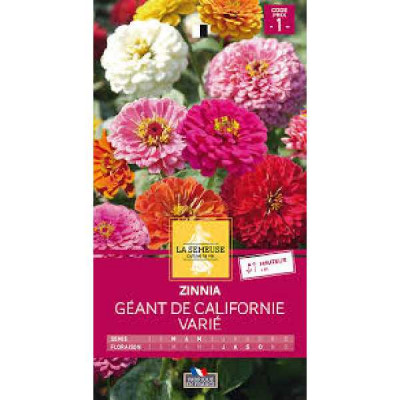 ZINNIA GEANT DE CALIFORNIE VARIE  Code prix 1 La Semeuse